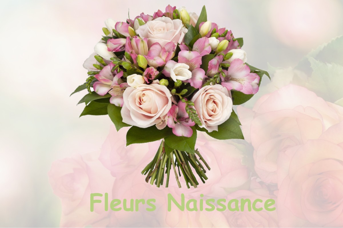 fleurs naissance BUSSY-LES-POIX
